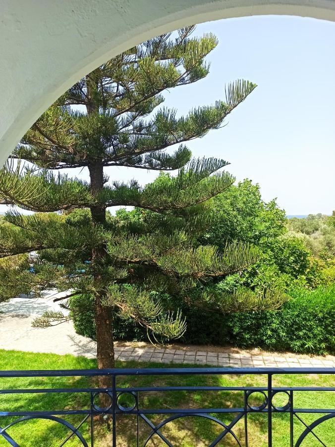 Summer Dream Theologos  Exterior photo